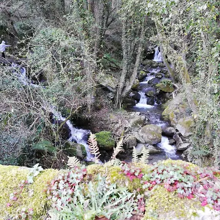 La Tana Di Brocciolino Popiglio